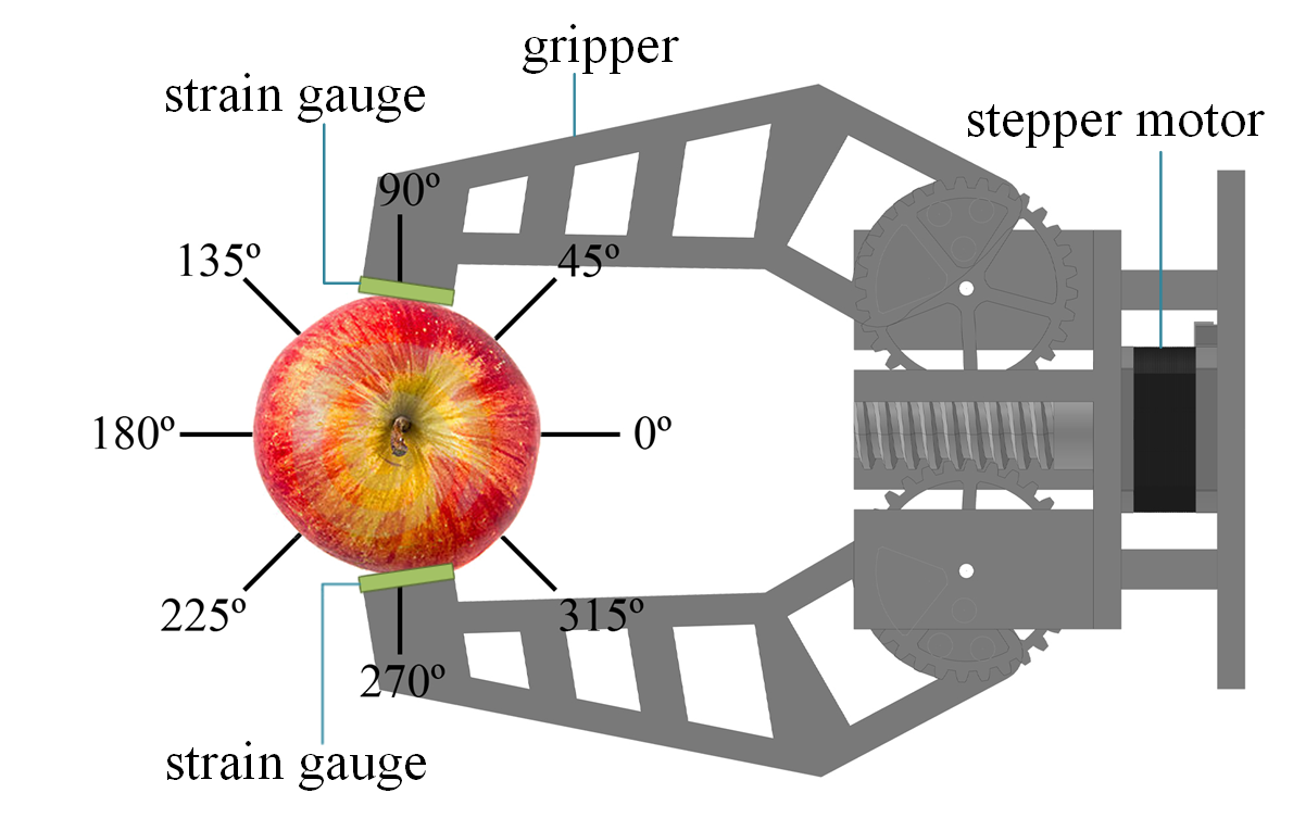 3D Clasification